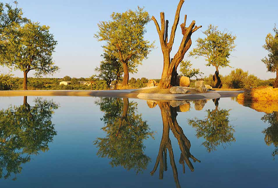 Sand sculpted pool reflecting trees at golden hour